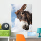 Donkey's head against a blue sky with cloud Wall Mural