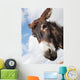 Donkey's head against a blue sky with cloud Wall Mural