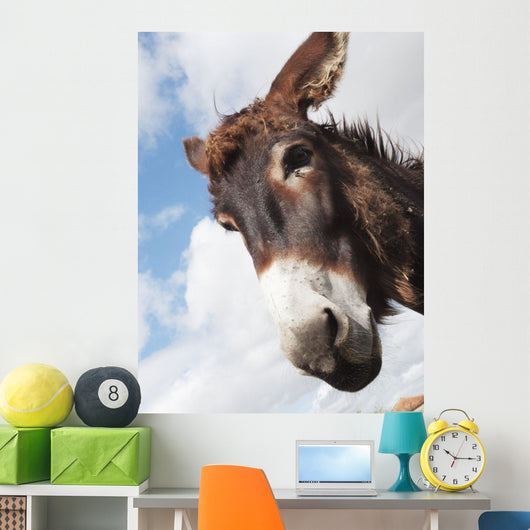 Donkey's head against a blue sky with cloud Wall Mural