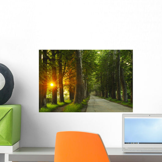 sunrise in beautiful alley Wall Mural