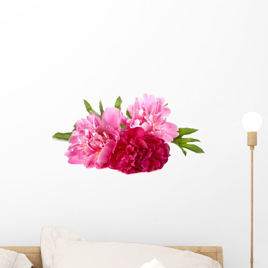 Three Peonies White