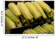 Fresh Corn On The Cob And Asparagus Wall Mural