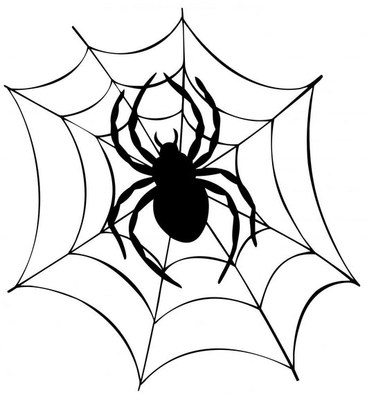 Silhouette of Spider in Web Wall Decal