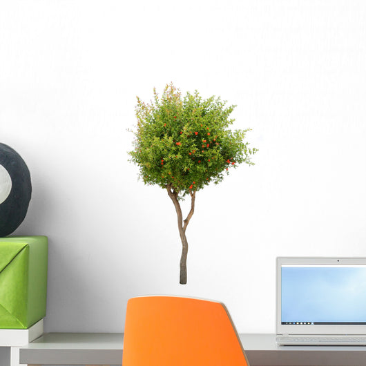 Pomegranate tree Wall Decal