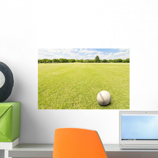 Lawn and Baseball