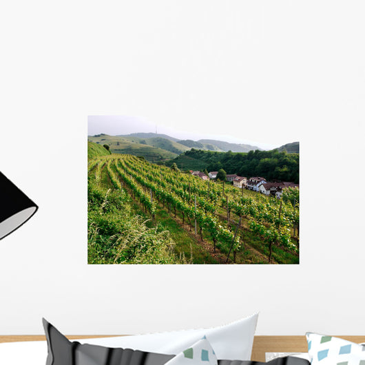 Top Mountains Kaiserstuhl Vineyards