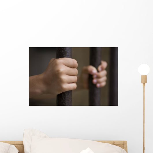Jail Wall Mural