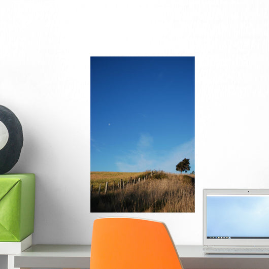 Landscape Wall Mural
