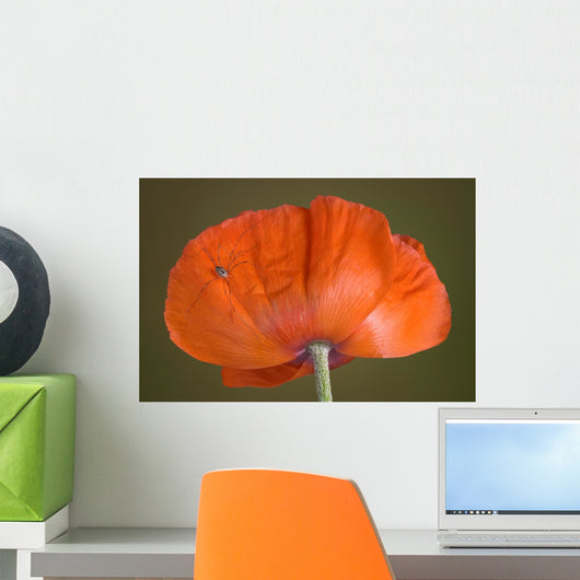Daddy Long Legs Orange Wall Mural