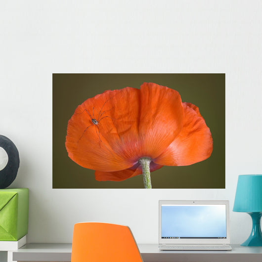 Daddy Long Legs Orange Wall Mural