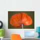 Daddy Long Legs Orange Wall Mural