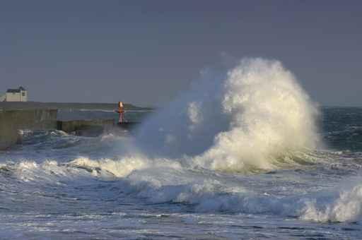 Gale Brittany Wall Decal