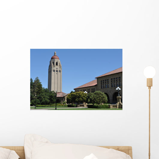 Stanford University Wall Mural