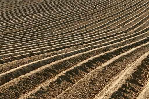 Plowed Field Wall Decal
