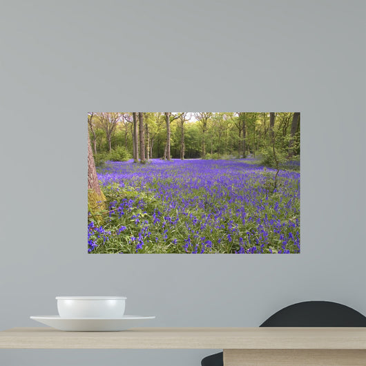 Bluebell Lake