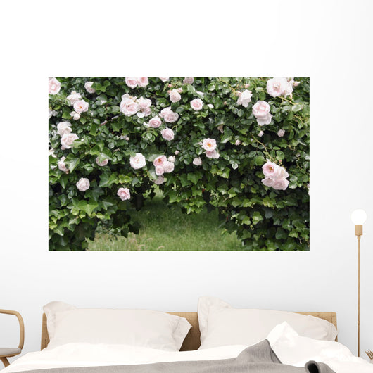 Archway of roses and ivy Wall Mural