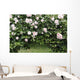Archway of roses and ivy Wall Mural
