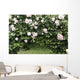 Archway of roses and ivy Wall Mural