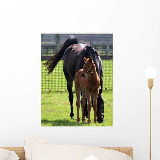 Mare and Foal
