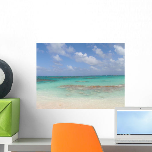Spiaggia Pink Sand Bahamas Wall Mural