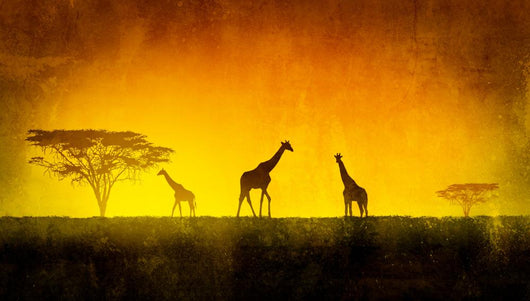 African Landscape Wall Mural