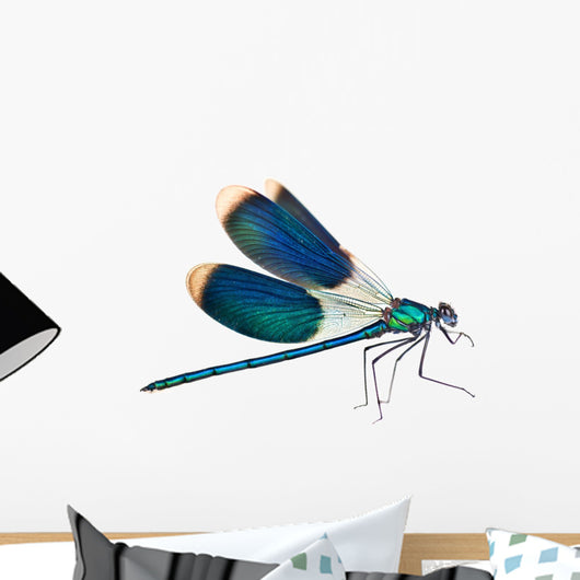 Dragonfly isolated on white Wall Decal