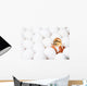 New-born Chick