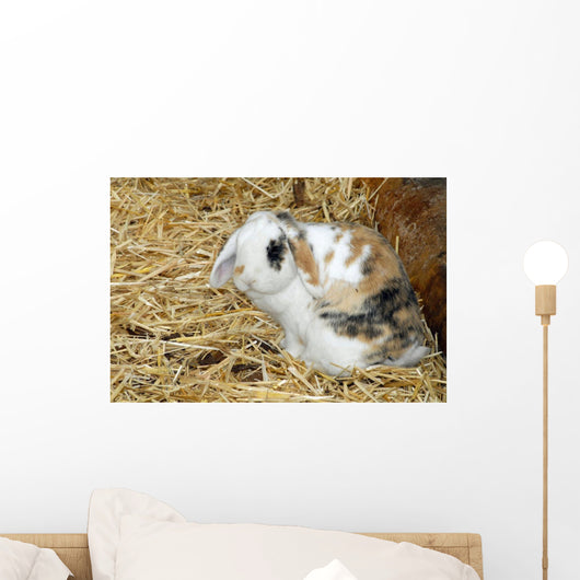 Rabbit Wall Mural