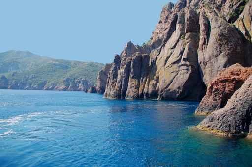 Scandola Wall Decal Design 1