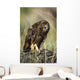 A Juvenile Short-Eared Owl Surveys The Scene Wall Mural