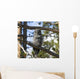 Great Grey Owl in Yellowstone National Park Wall Mural