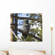 Great Grey Owl in Yellowstone National Park Wall Mural