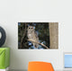Spotted Wood Owl in an old growth redwood forest Wall Mural