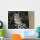 Spotted Wood Owl in an old growth redwood forest Wall Mural