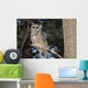 Spotted Wood Owl in an old growth redwood forest Wall Mural