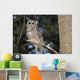 Spotted Wood Owl in an old growth redwood forest Wall Mural