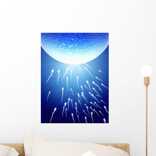 Spermatozoons, floating to ovule Wall Mural