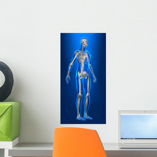 X-ray Human Body with