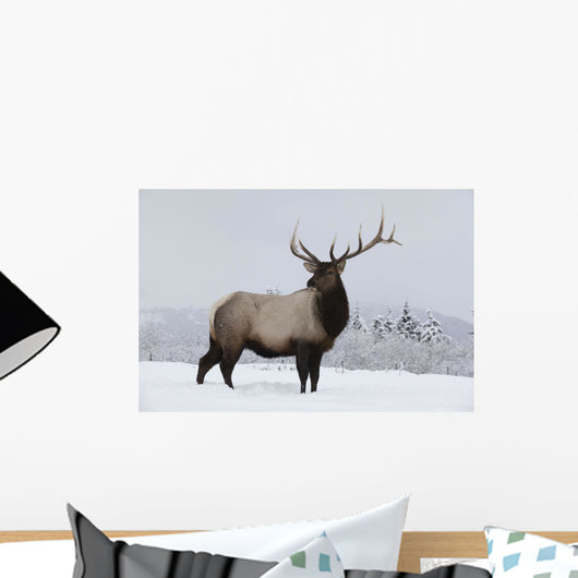 An elk standing in a field of snow with frozen trees in the background Wall Mural