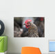 A blue americauna hen at a farm Wall Mural