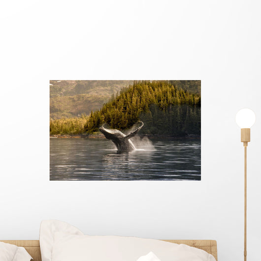 Breaching Humpback whale in Prince William Sound Wall Mural