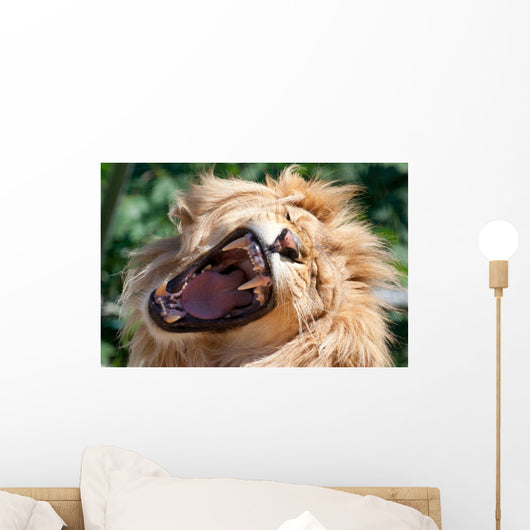 Angry Roaring Lion Wall Mural