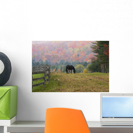 Horse grazing in early morning light and fog in autumn Wall Mural