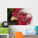 A rooster shows his best side Wall Mural