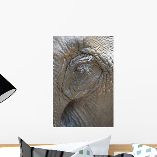 Elephant eye Wall Mural