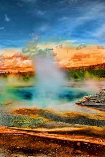 Hot Spring Wall Decal