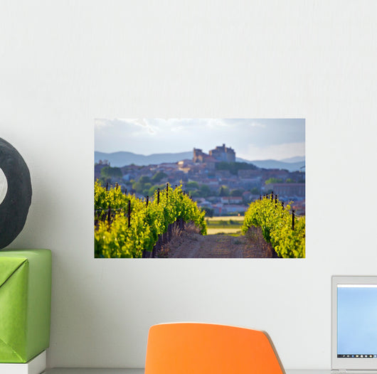 The Chateau of Puissalicon in the Languedoc Wall Mural