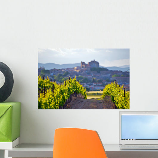 The Chateau of Puissalicon in the Languedoc Wall Mural