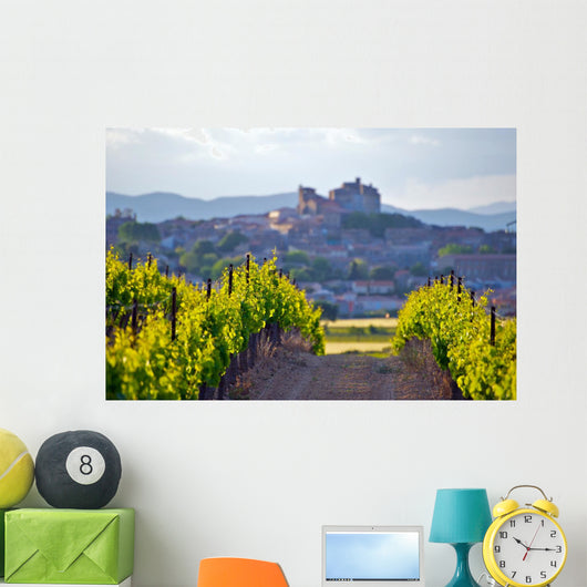 The Chateau of Puissalicon in the Languedoc Wall Mural