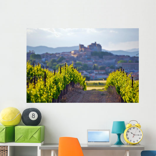 The Chateau of Puissalicon in the Languedoc Wall Mural
